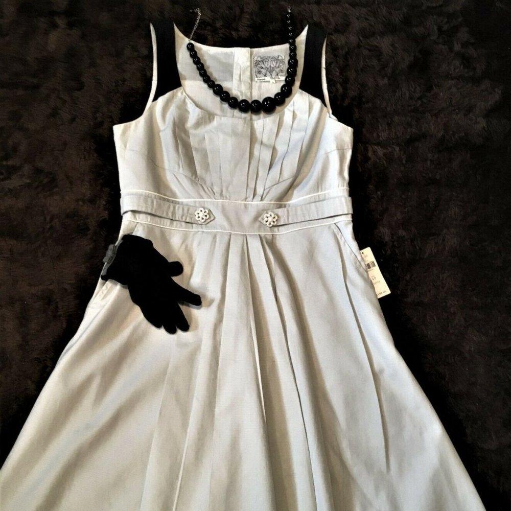 NWT Anthropologie Floreat charming dress,pleats,pockets-S,2 to 4 see measurement